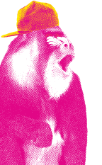 Mandril pink