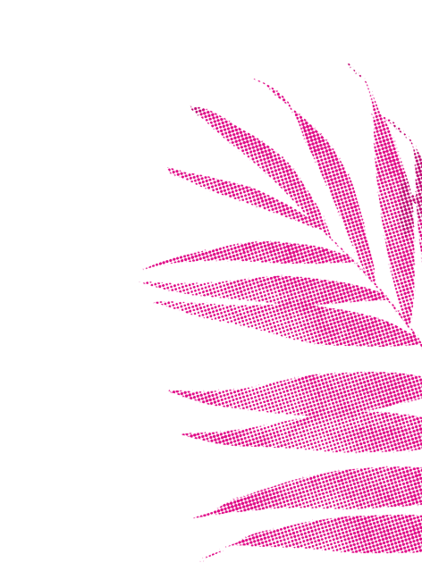 Palm