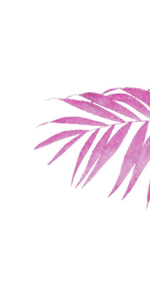 Palm