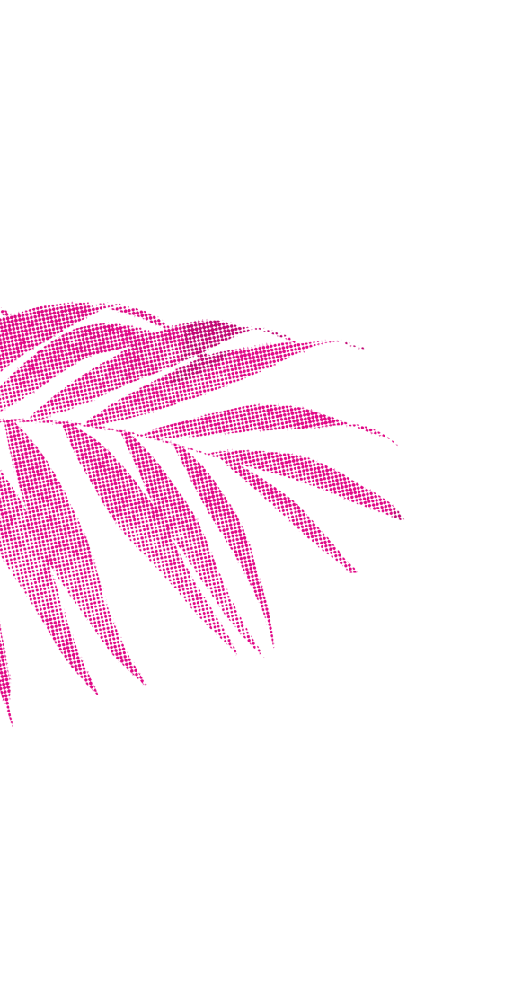 Palm