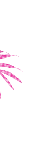 Palm